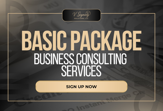 BASIC PACKAGE: BUSINESS CONSULTING SERVICES
